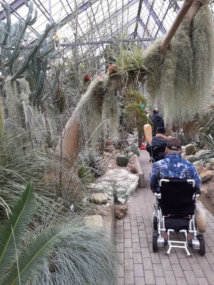 Klient im Rollstuhl fährt durch den Botanischen Garten in Bochum.